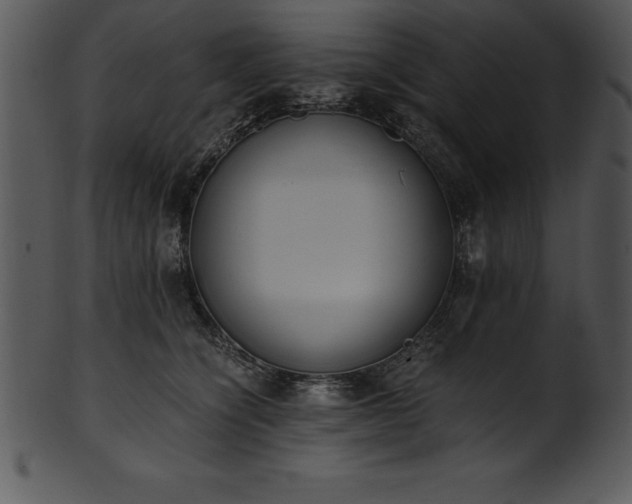X0000101460564200807141309