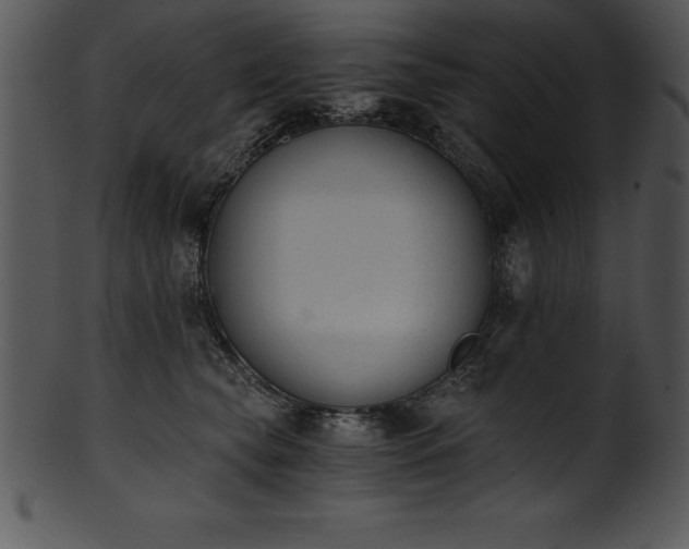 X0000101460565200807141309