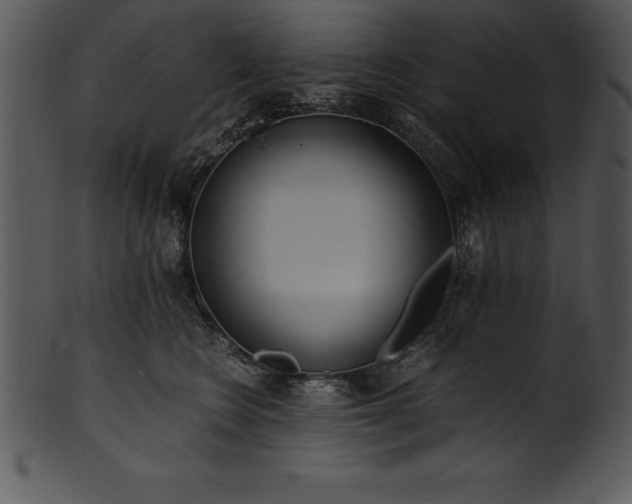 X0000101460566200807141309