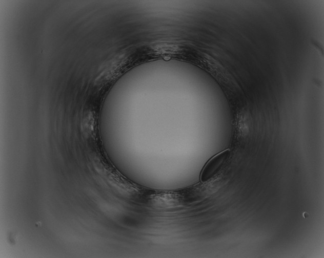 X0000101460567200807141309