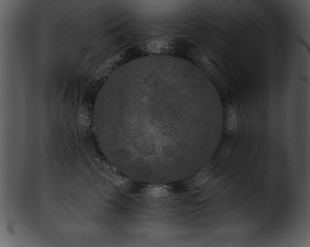 X0000101460569200807141309