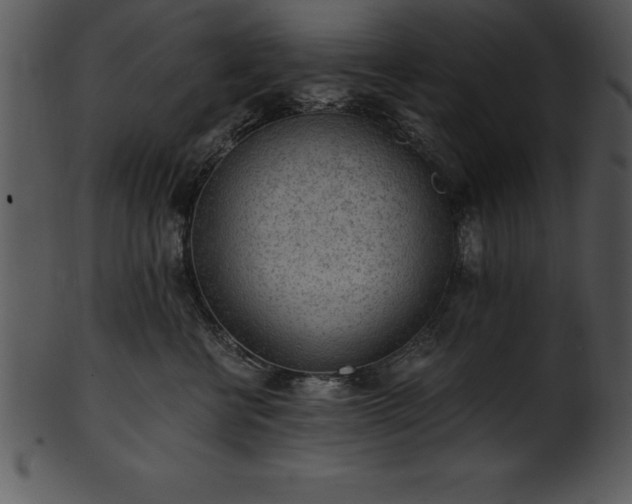 X0000101460570200807141309