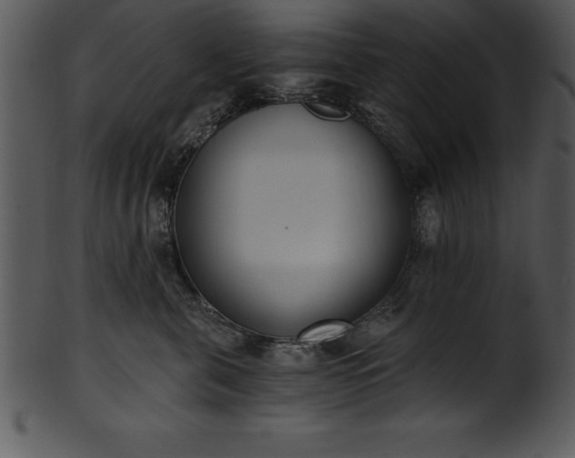 X0000101460571200807141309