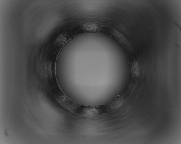 X0000101460572200807141309