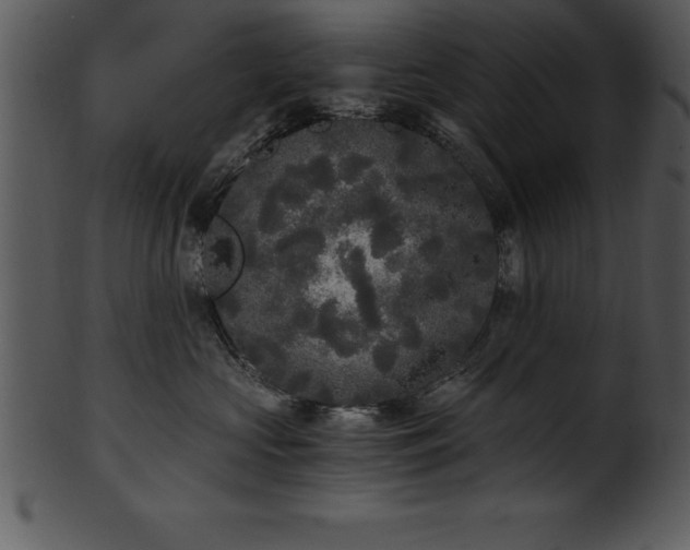 X0000101460573200807141309