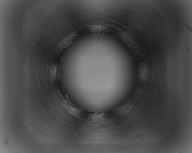 X0000101460574200807141309