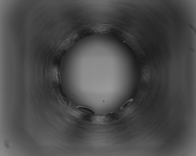 X0000101460575200807141309