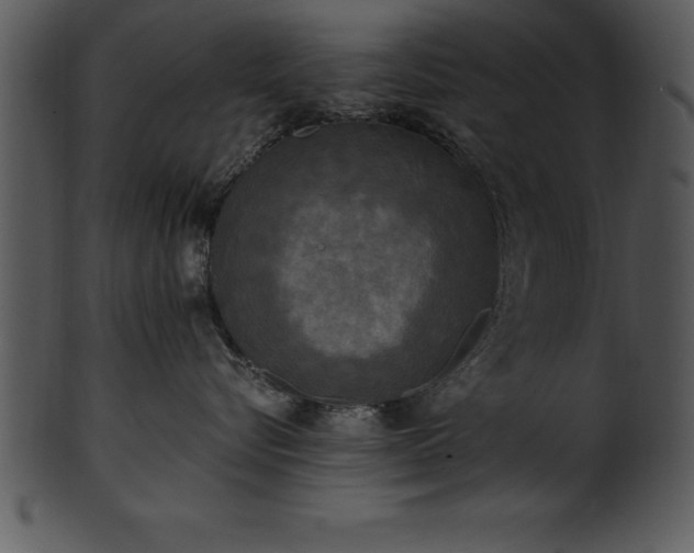 X0000101460576200807141309