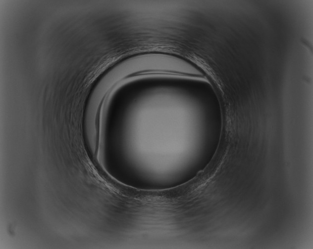 X0000101460577200807141309