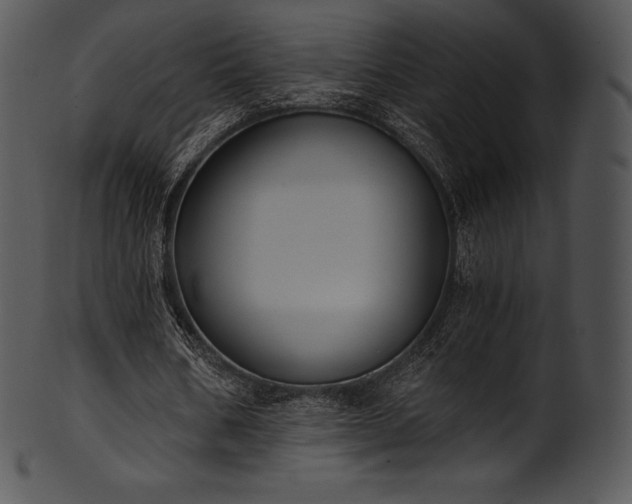 X0000101460578200807141309