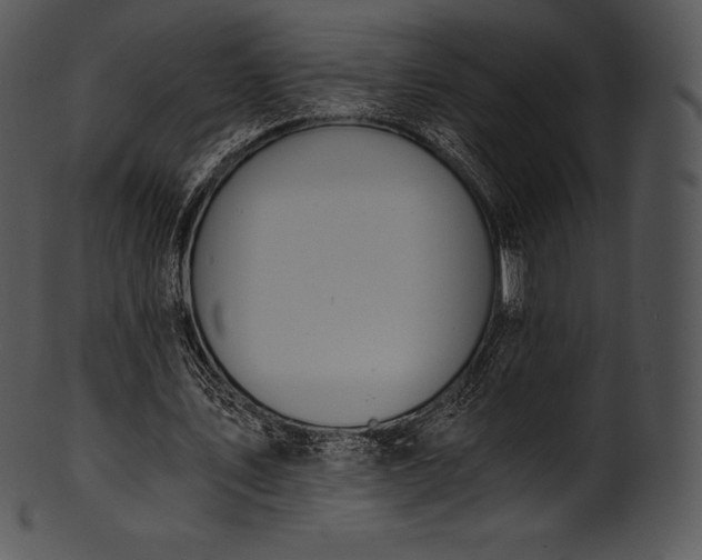 X0000101460579200807141309