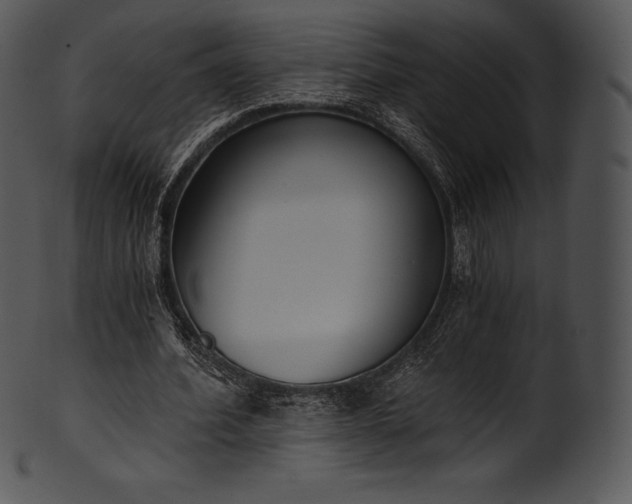 X0000101460580200807141309