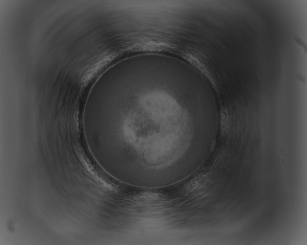 X0000101460581200807141309