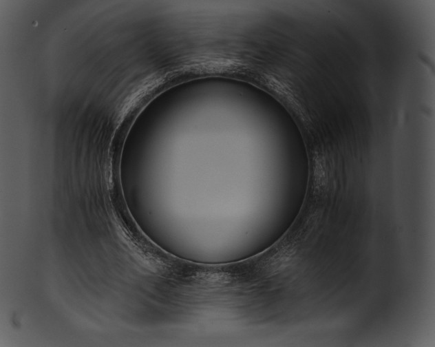 X0000101460582200807141309