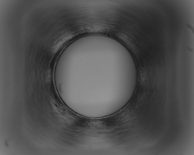 X0000101460583200807141309