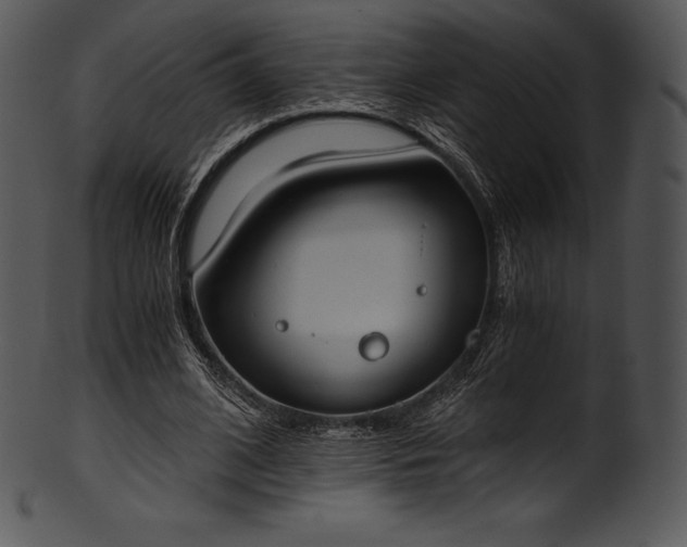 X0000101460584200807141309