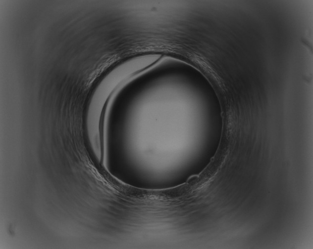 X0000101460585200807141309