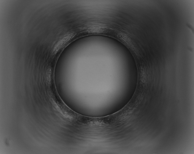 X0000101460586200807141309