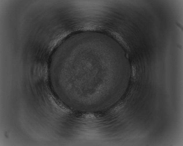 X0000101460588200807141309