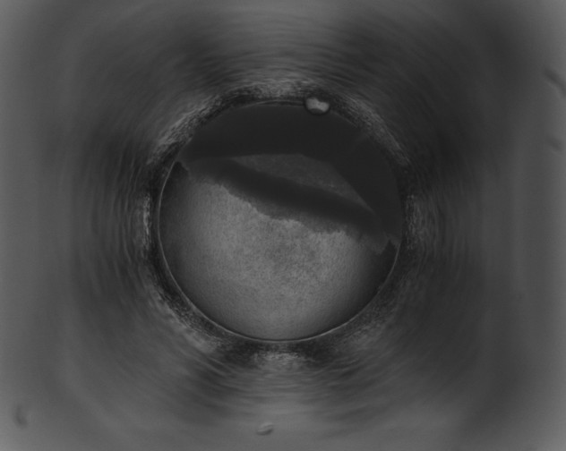 X0000101460590200807141309