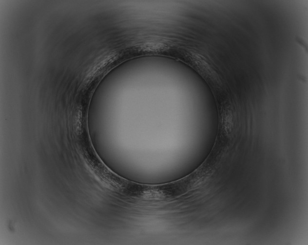 X0000101460591200807141309