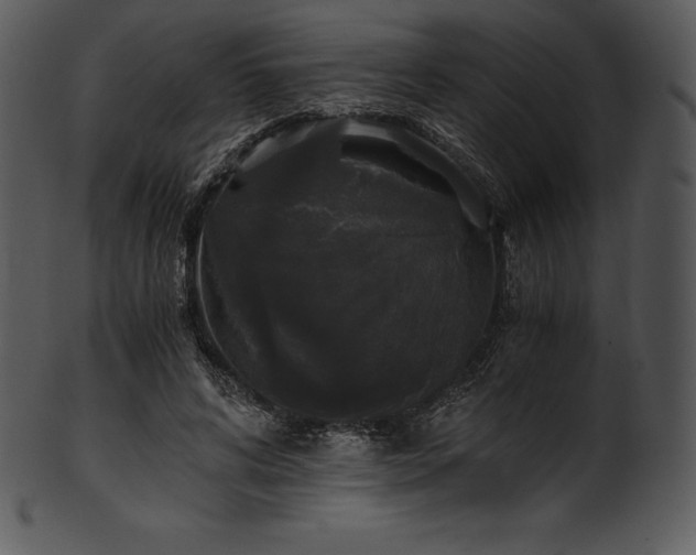 X0000101460592200807141308