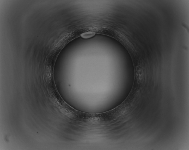 X0000101460593200807141308