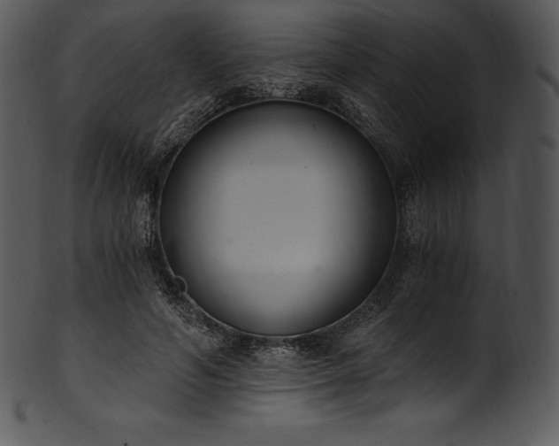 X0000101460594200807141308