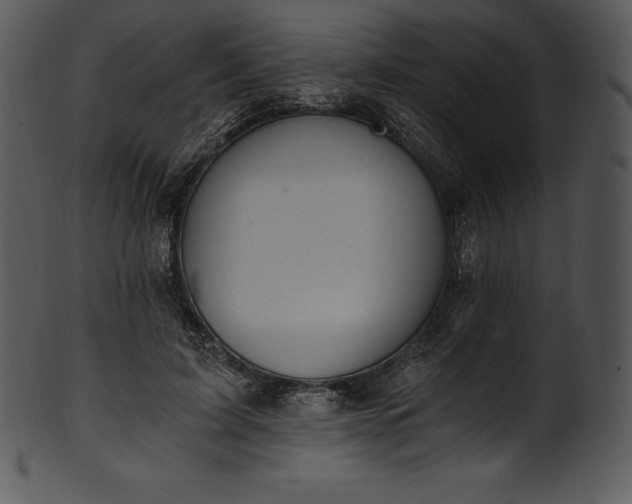 X0000101460595200807141308