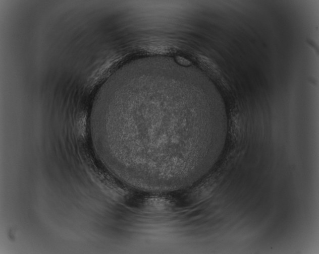 X0000101460596200807141308