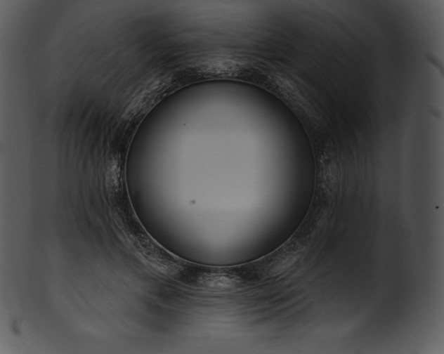 X0000101460597200807141308