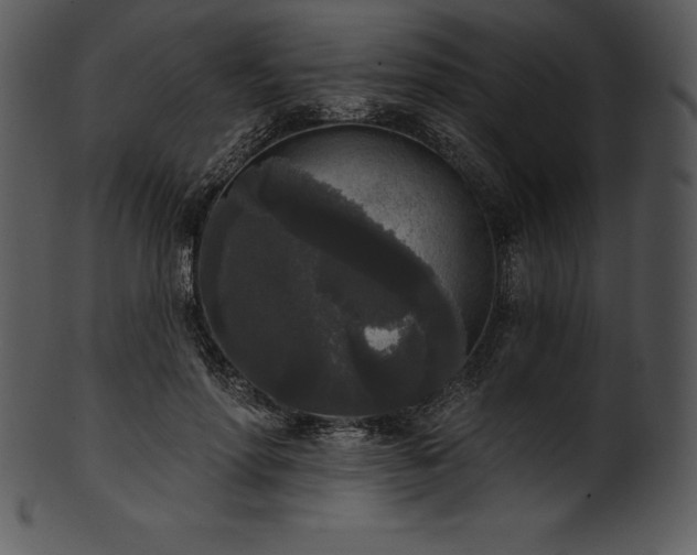 X0000101460598200807141308