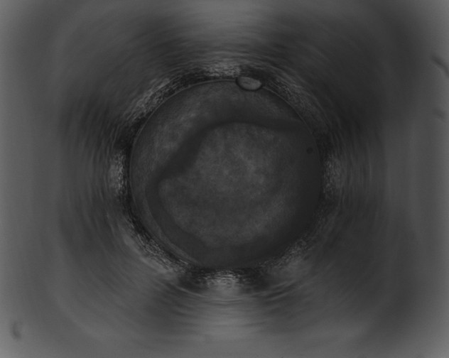 X0000101460600200807141308