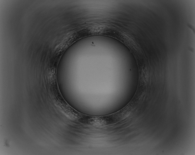 X0000101460601200807141308