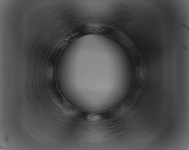 X0000101460602200807141308