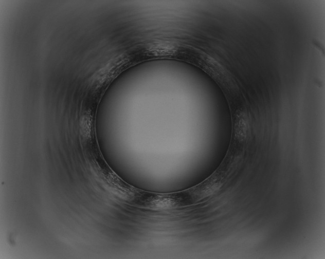 X0000101460604200807141308