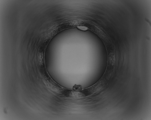 X0000101460605200807141308
