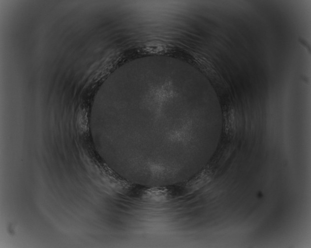 X0000101460606200807141308