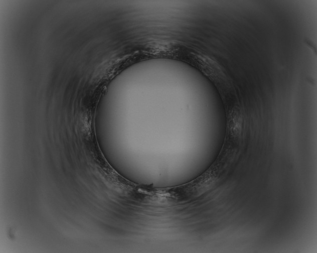 X0000101460607200807141308