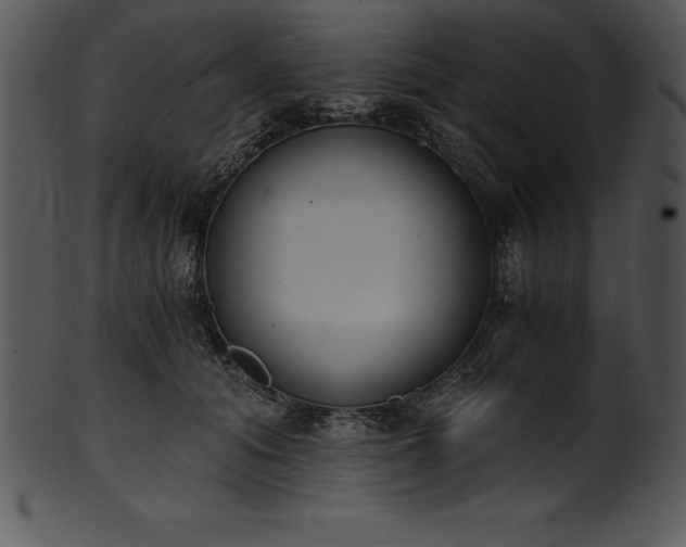 X0000101460608200807141308