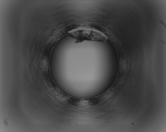 X0000101460609200807141308
