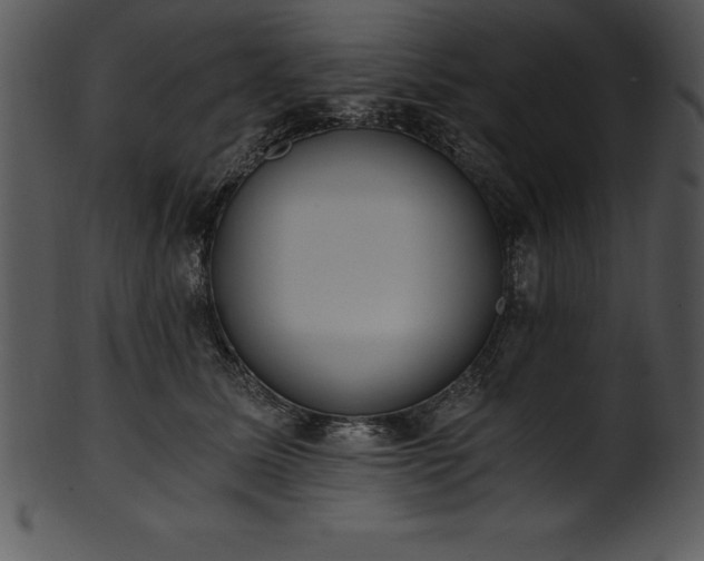 X0000101460611200807141308