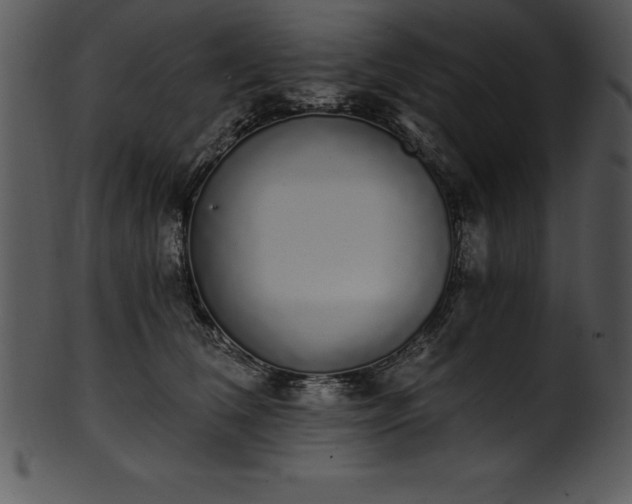X0000101460612200807141308