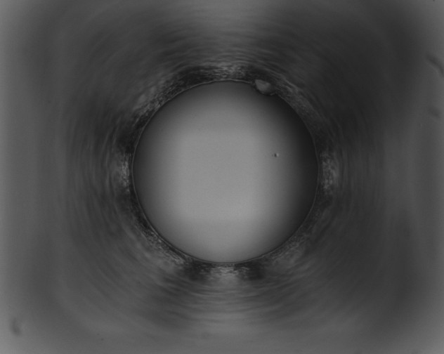 X0000101460613200807141308