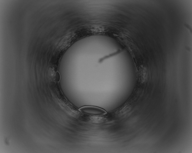 X0000101460614200807141308