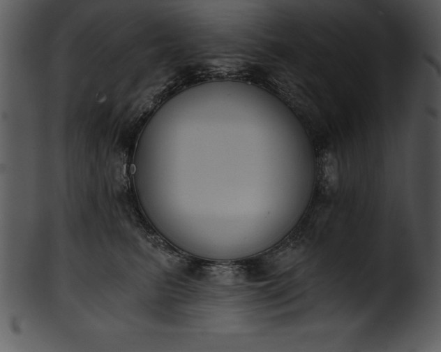X0000101460615200807141308