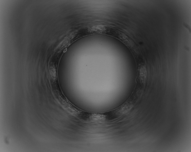 X0000101460617200807141308