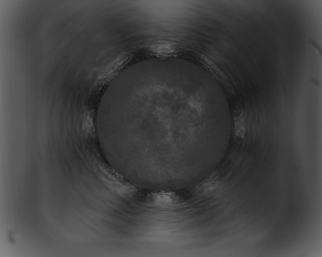 X0000101460618200807141308