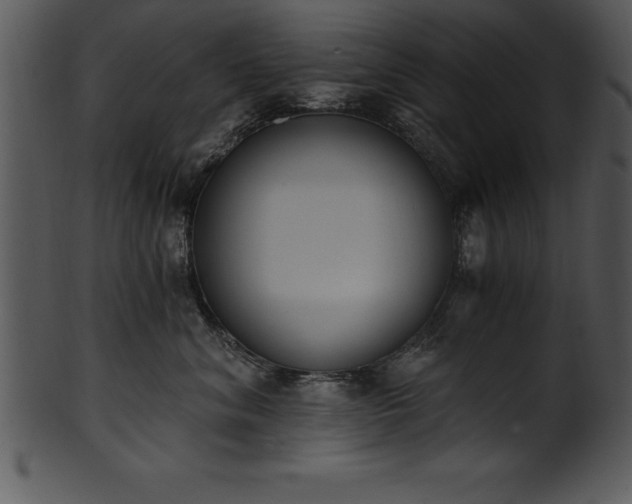 X0000101460620200807141308