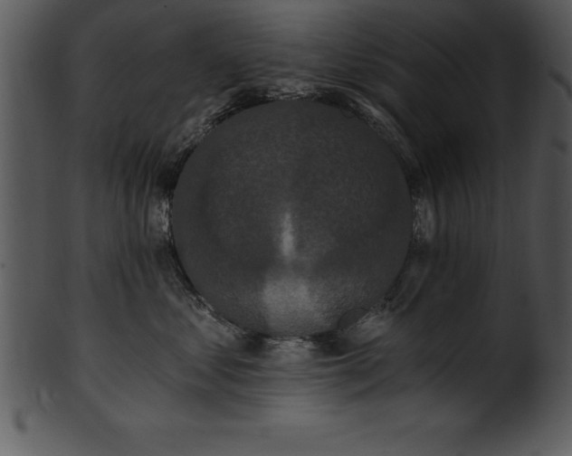 X0000101460621200807141308
